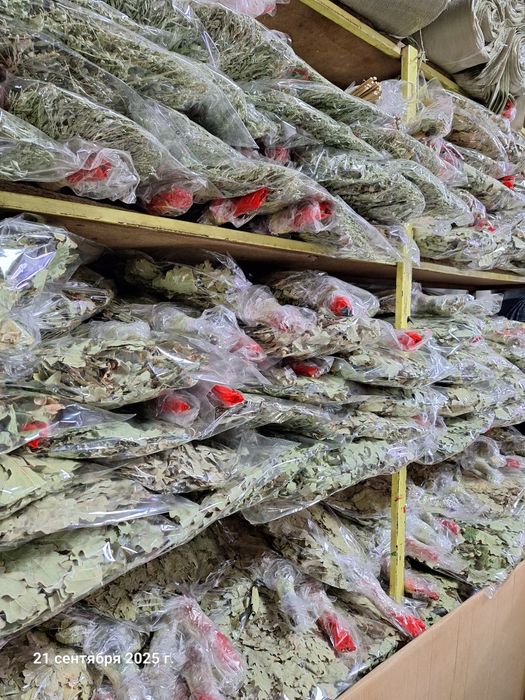 Веник для бани и сауна