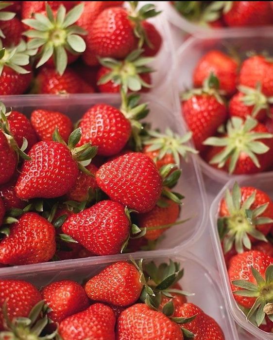 Клубника в шоколаде Алматы Кулпынай