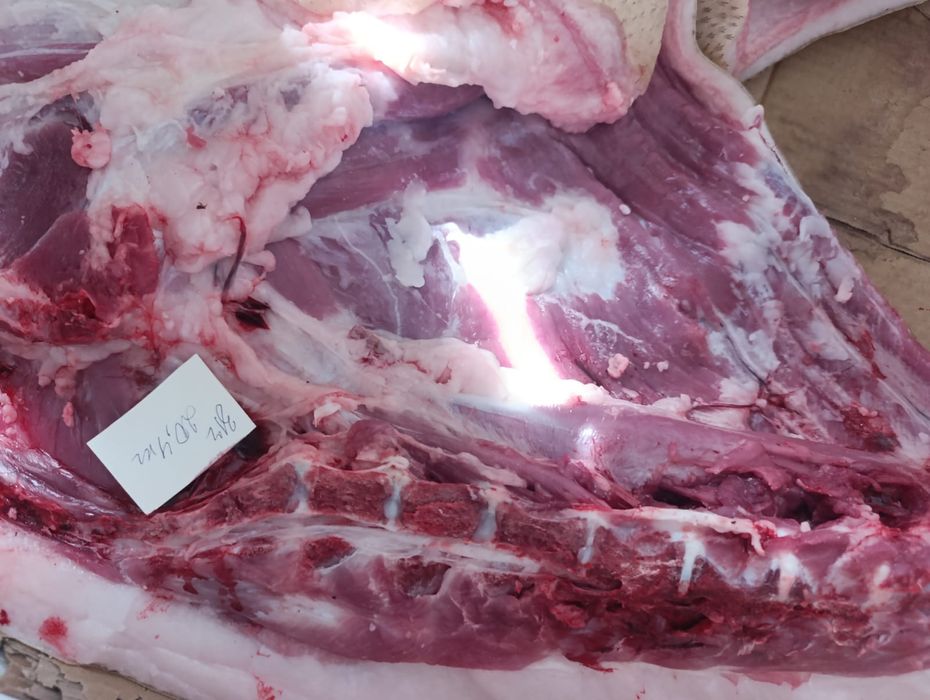 Запись на мясо свинина задняя часть