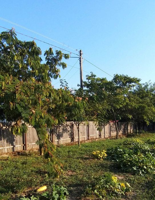 Teren intravilan sat Unirea