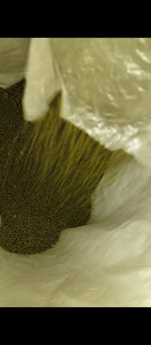 Palirofka sotiladi mosh artadi