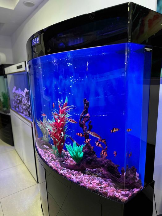 Аквариумы CLEAIR AQUATICS от эксклюзивного дилера в Узбекистане