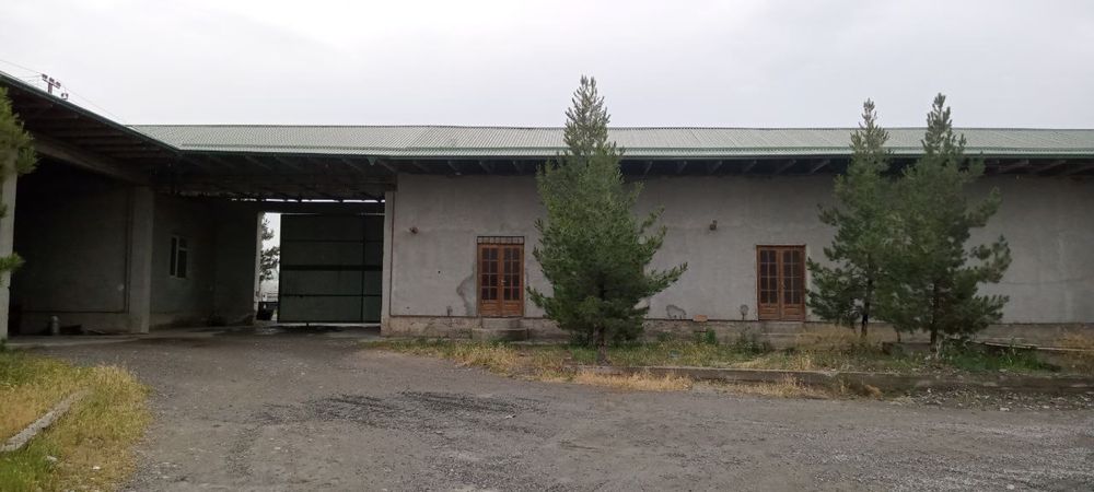 Samarqand Baza 50-sotix Farxod pasyolka Sement baza