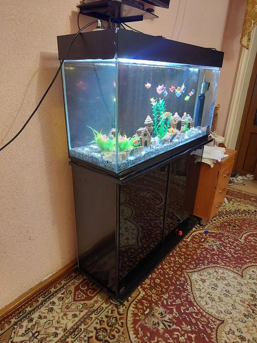 Akvarium hamma narsalari bilan sotiladi