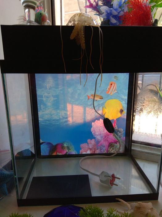 Аквариум.Навои Фрунзе