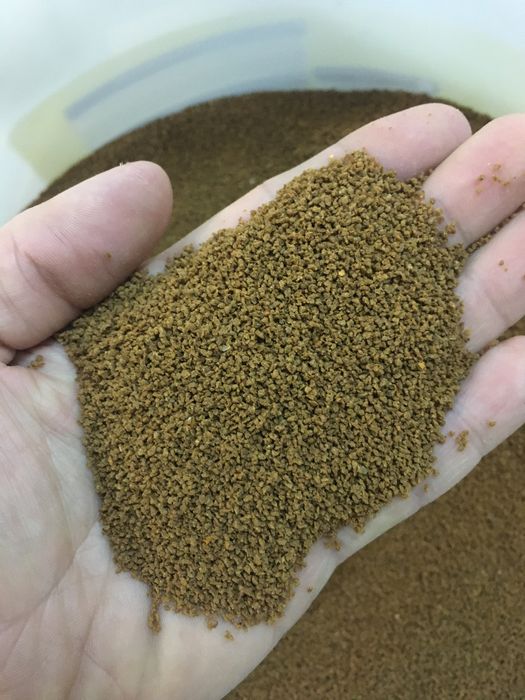 Hrana granular tetra