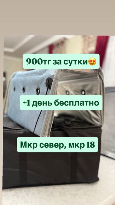 Фотолампа от желтушки в аренду 900 тг/сутки! Билитест есть!