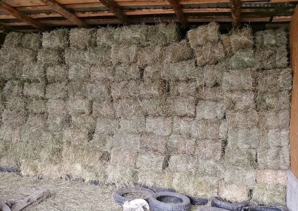 Baloti fan ASIGUR transport