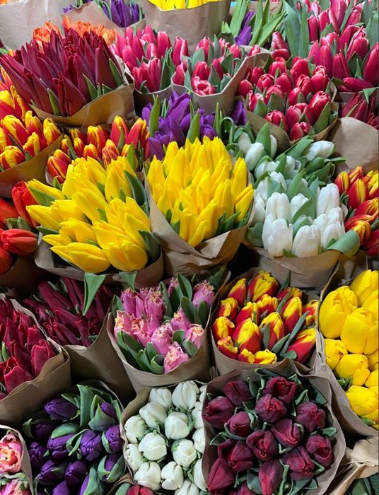 Тюльпаны оптом Алматы