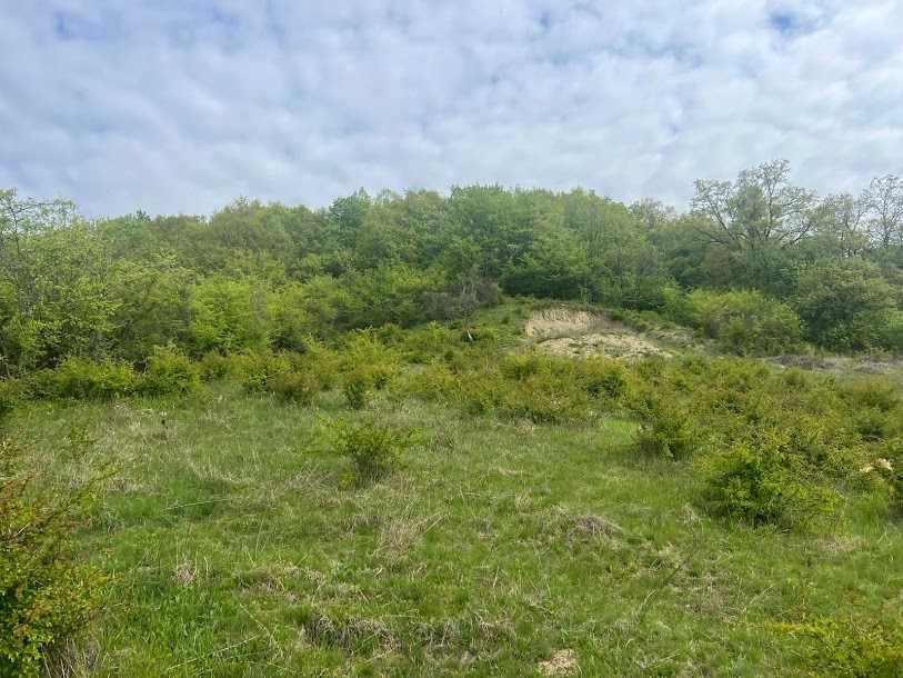 Teren de vânzare – Corunca Zona Valea Iubirii Coordonate GPS: 46.509002, 24.641028