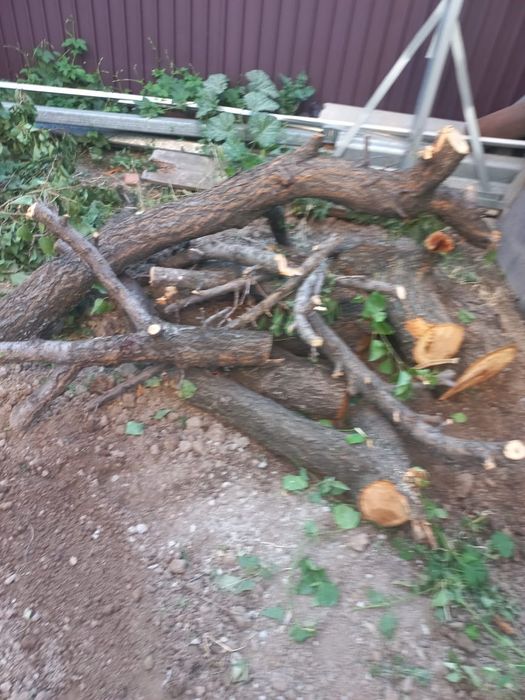 Продам Дрова разного типа