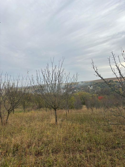 Teren intravilan de vânzare sat Comsesti, comuna Tureni, Jud Cluj