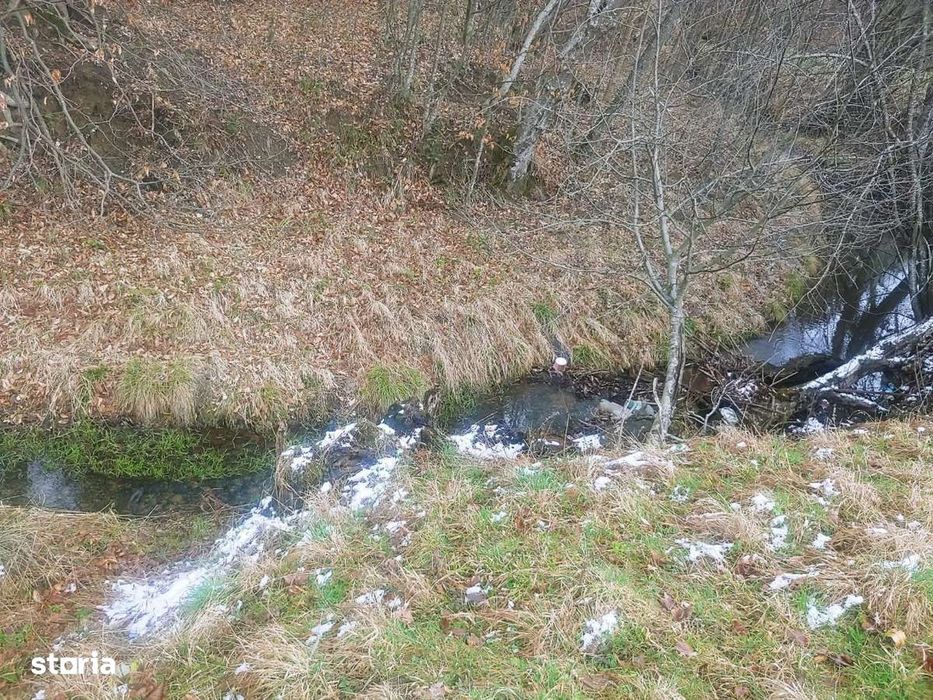 Teren 1600 mp Paltinoasa intravilan