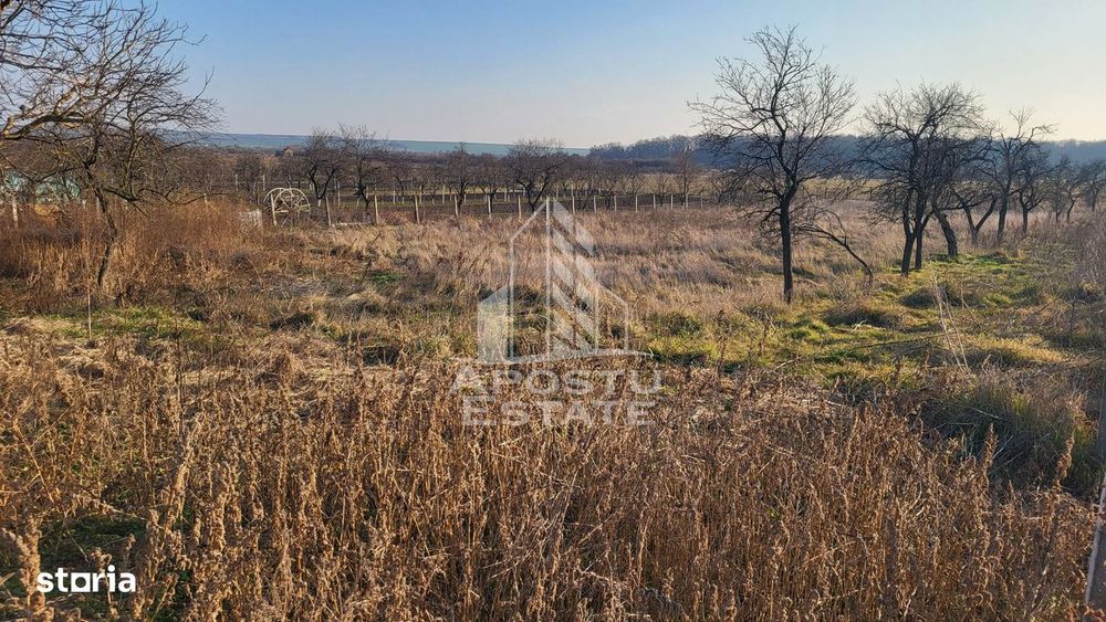 Teren de 3844 mp cu proiect autorizat pt casa individuala,in Pischia,