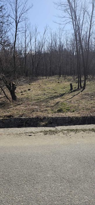 teren vanzare Alunis Prahova