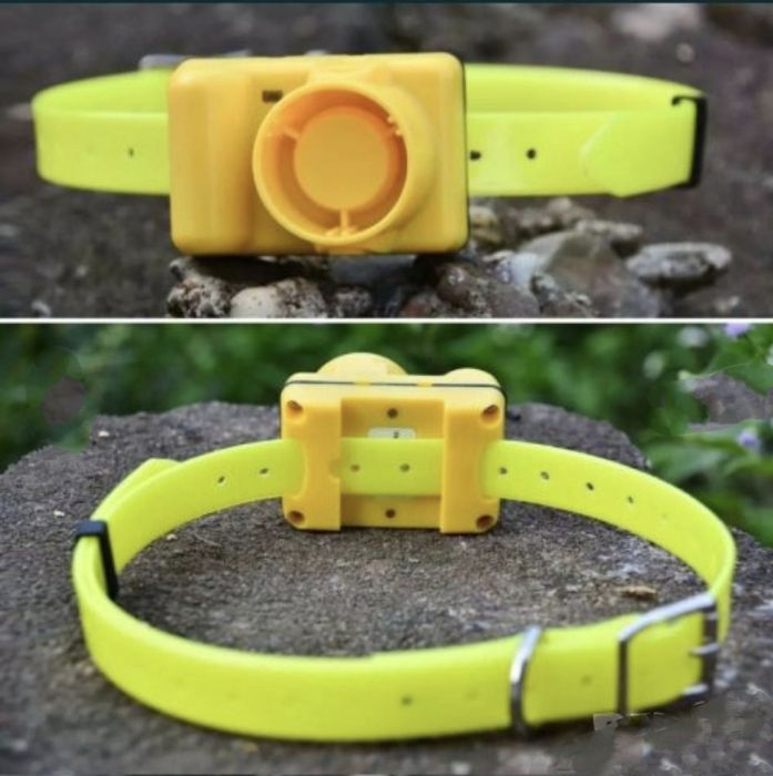 Бийпар за ловно куче