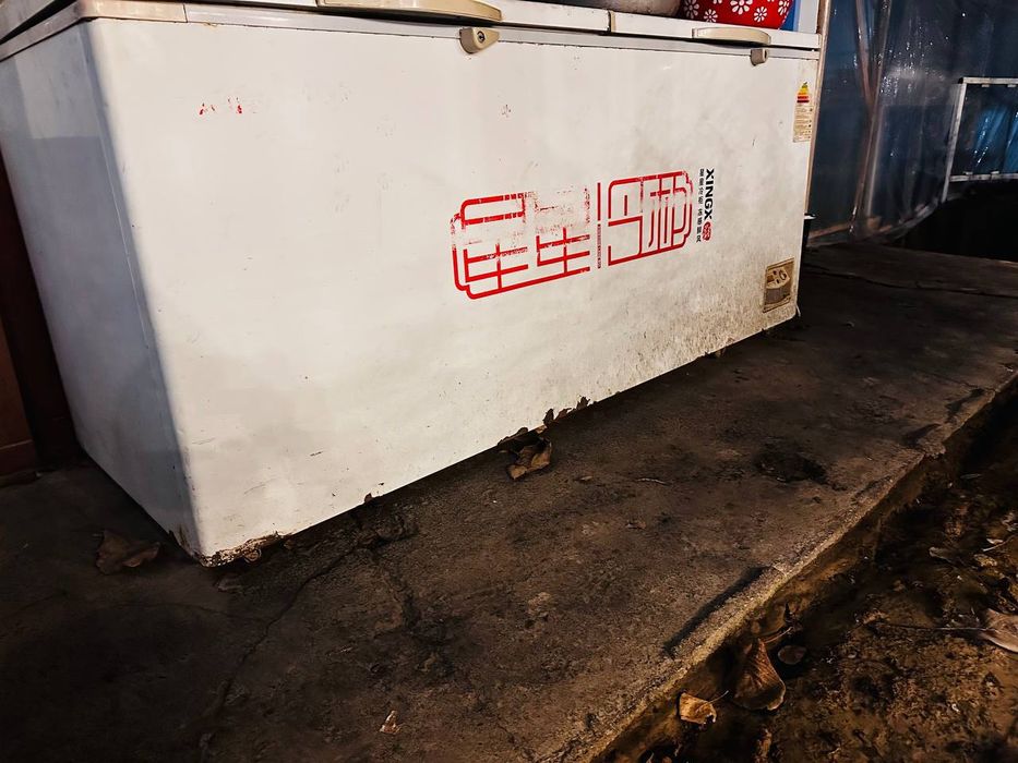 Marazelnik muzlatkich