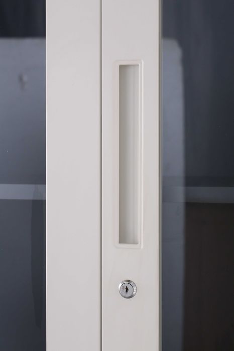 Arxiv shkafi professional | Профессиональный архивный шкаф