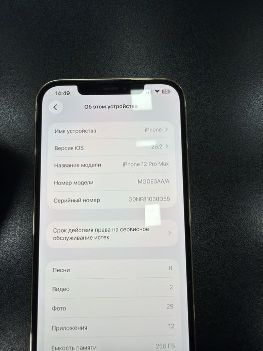 Iphone 12 pro max idel