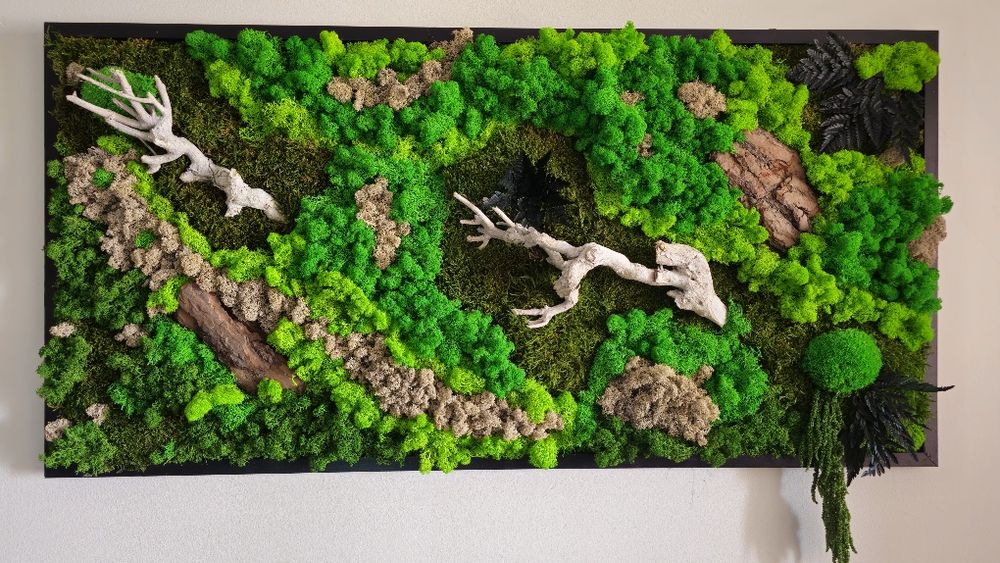 Tablou din licheni premium 122x60cm