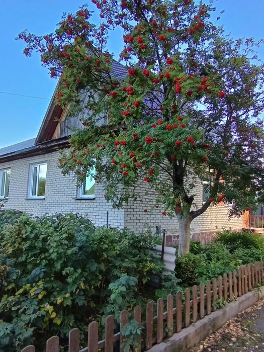 Продам жилой дом