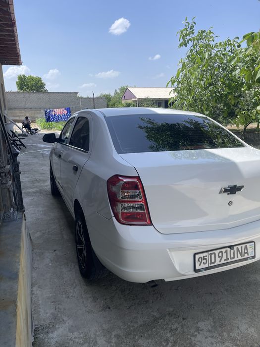 Moshin zur xolatda
