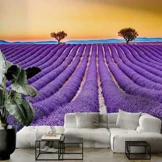 Фото обои, без стыков и швов на любой вкус, 3D обои