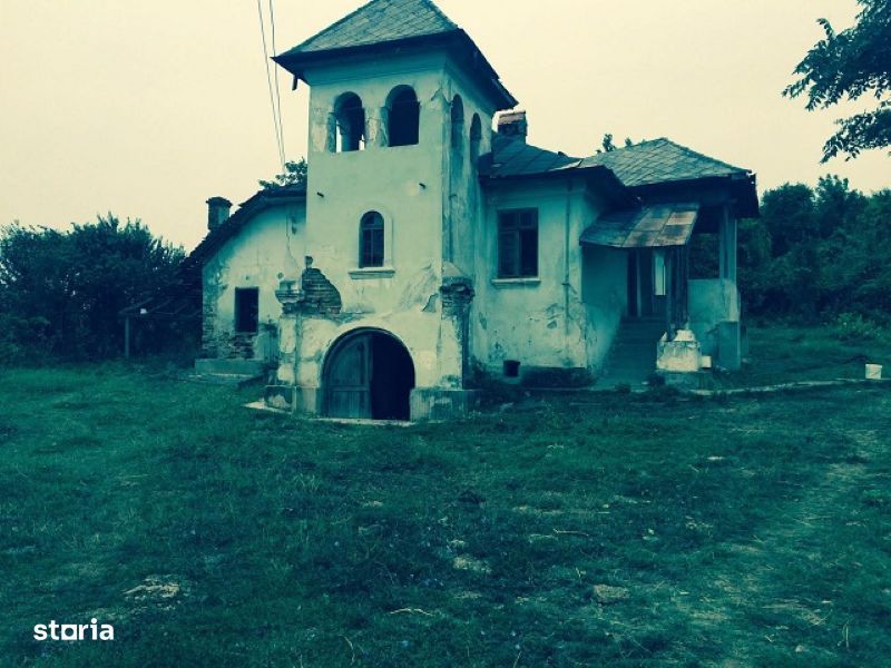 Teren de 53.000 mp cu vita de vie + Conac boieresc