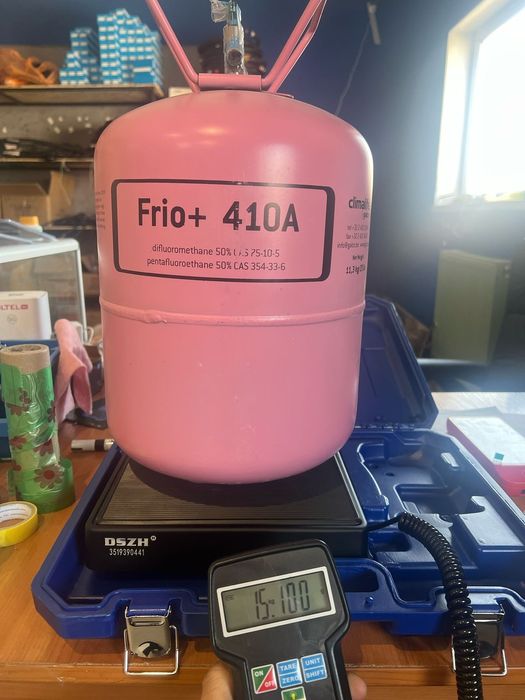 Электронные весы DSZH