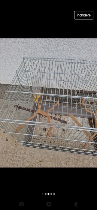 Colivie cu accesorii