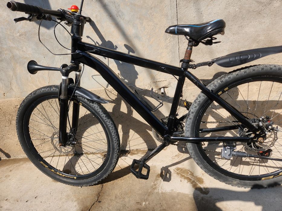 Велосипед 3 вида и канарейка