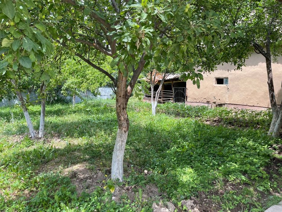 Дом в горах с участком - свежий воздух, Богистон