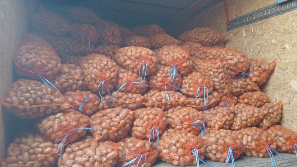 Cartofi animale  074[060]45]98