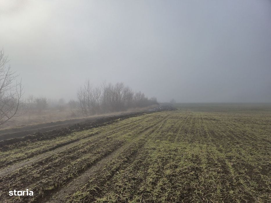 Teren 3.000 mp cu autorizație hală – Holboca, Iași | Rate