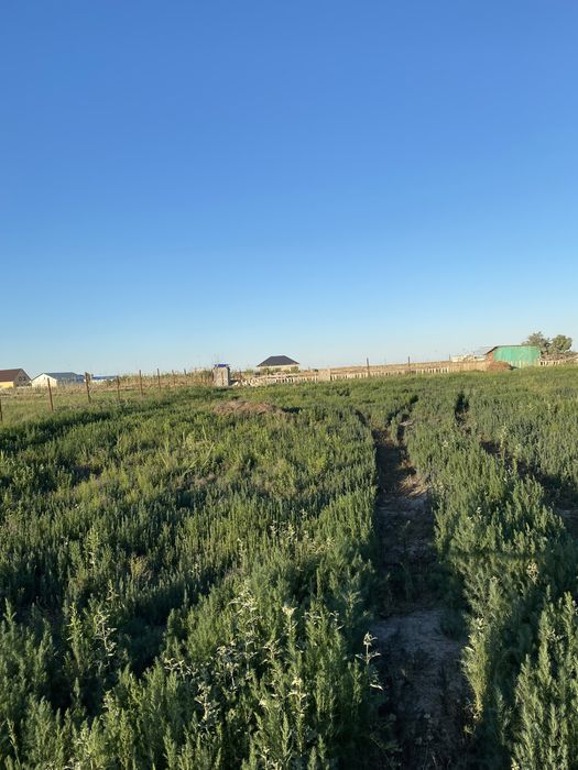 Земля 12 соток өзектің жагасы