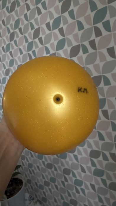 Гемнастический мяч