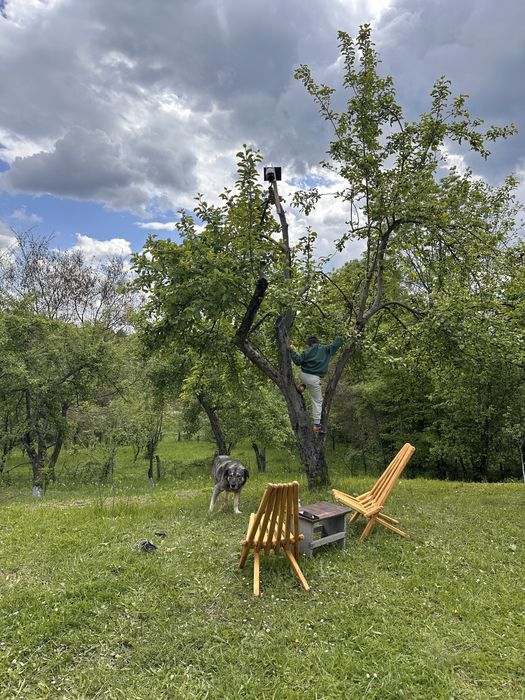 Teren deosebit/posibilitate casa vacanta