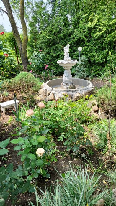 Çasă/ vilă de vânzare