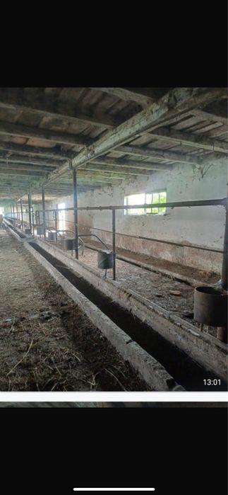 Vand/ Inchiriez ferma