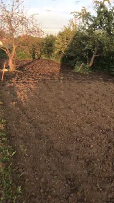 Дача в обществе «Черемушки»