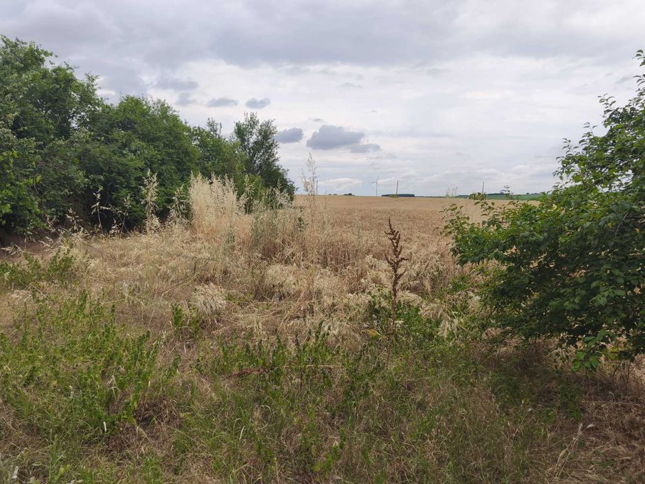 Продава се Къща в с. Гешаново, Област Добрич - 140 кв.м за 102 €/кв.м - Снимка #3