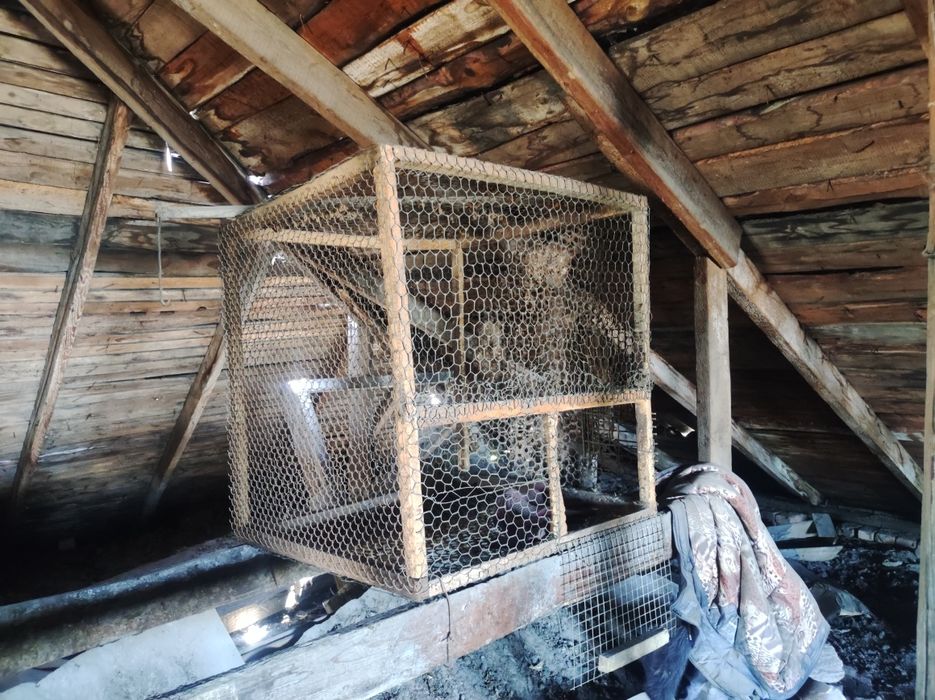 Клетки для кроликов, курей: 10 000 тг. - Козы Нуркен на Olx