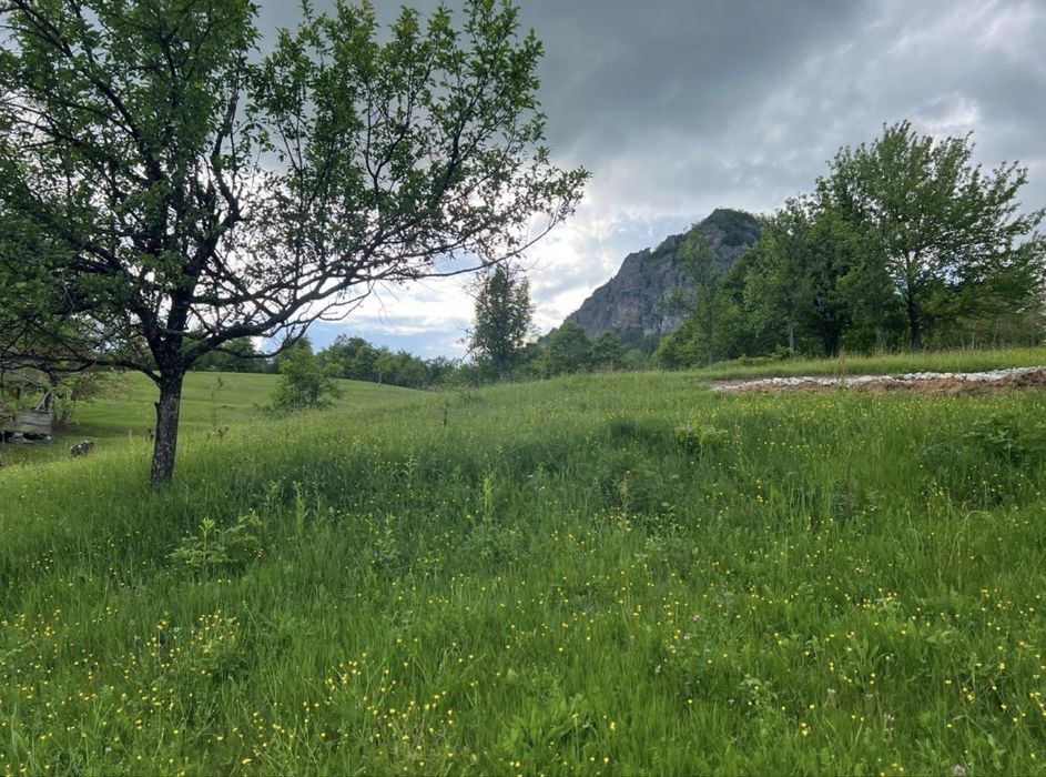 Proprietate deosebita in muntii apuseni
