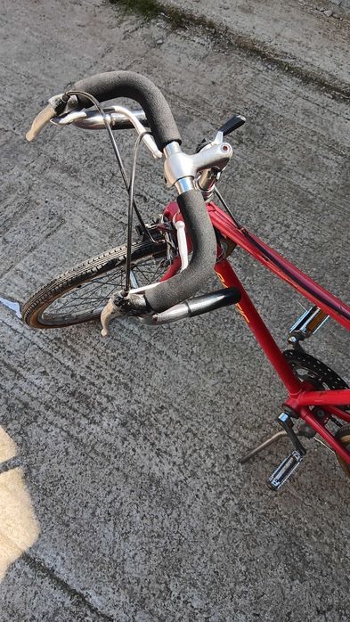 Semicursiera Raleigh