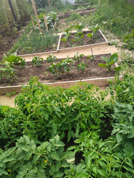 Продам дом, ИЖС документы в порядке