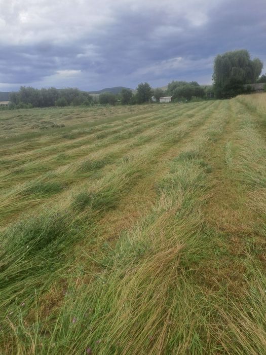 Vând baloți rorunzi din amestec de ierburi si  leguminoase!