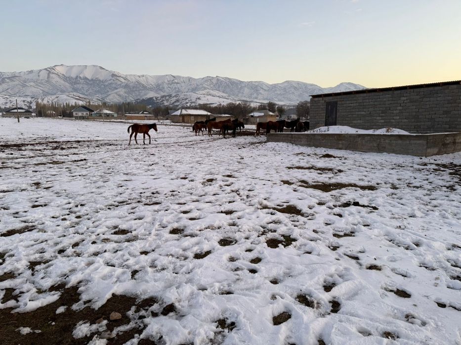 Срочно 15 сот. жер сатылады,