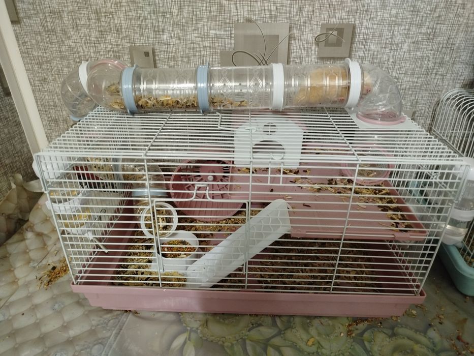 Хомяклар учун катта кафас