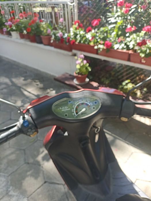 Пежо,Peugeot vivacity 50 2t
