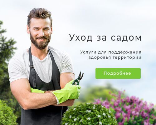 Садовника, Богбон хизмати, обработка - обрезка деревьев уход - уборка.